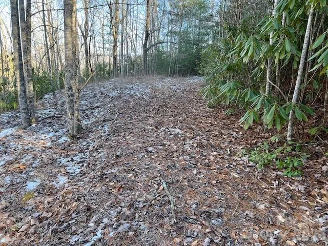 621 Round Top Road Almond, NC 28702