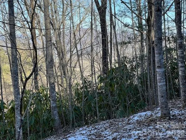 621 Round Top Road Almond, NC 28702