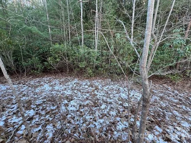 621 Round Top Road Almond, NC 28702