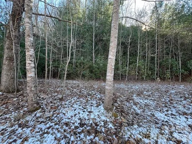 621 Round Top Road Almond, NC 28702