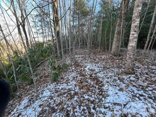 621 Round Top Road Almond, NC 28702