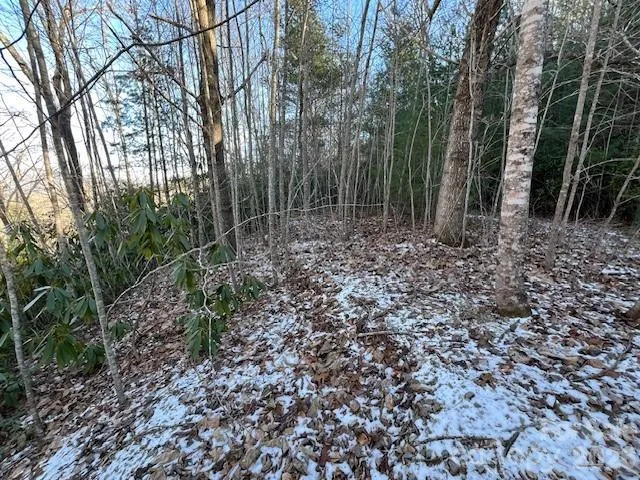 621 Round Top Road Almond, NC 28702