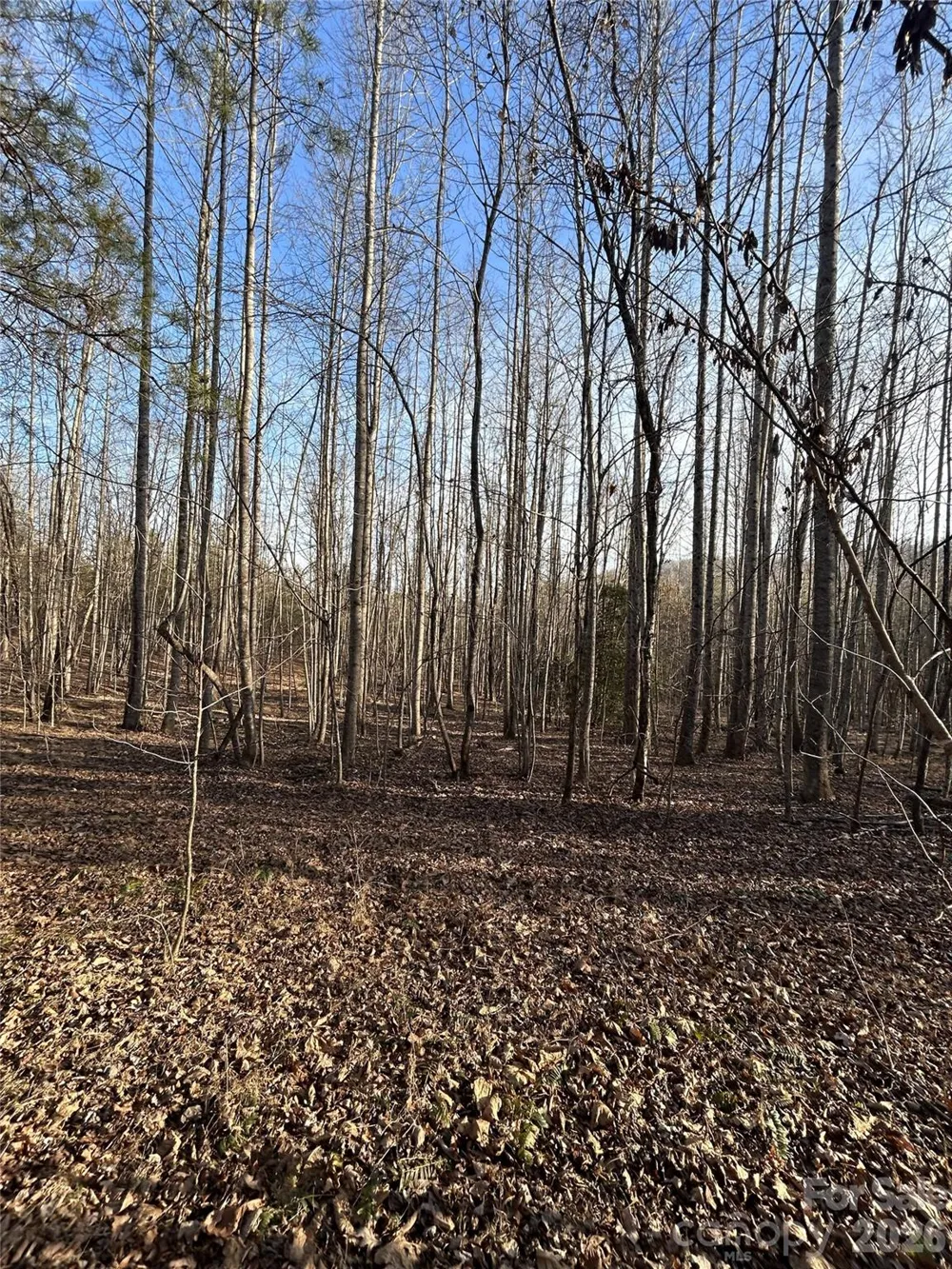147 Double Eagle Drive #23 Nebo, NC 28761