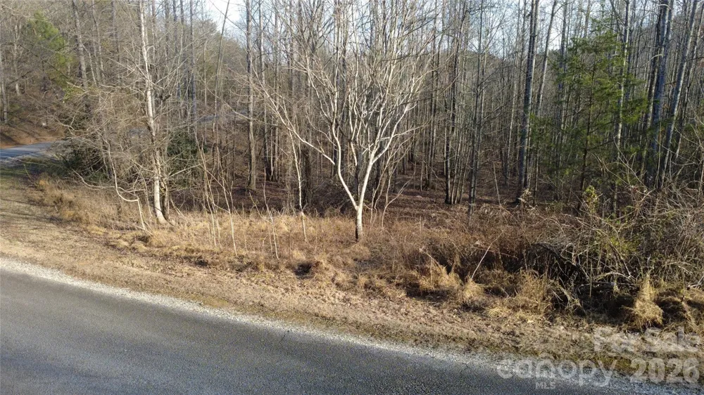 147 Double Eagle Drive #23 Nebo, NC 28761