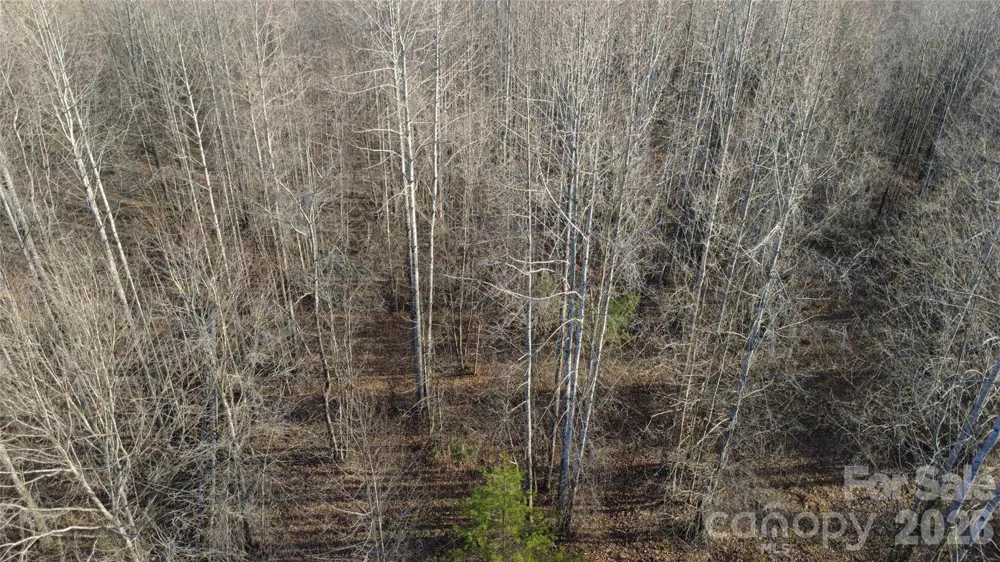 147 Double Eagle Drive #23 Nebo, NC 28761
