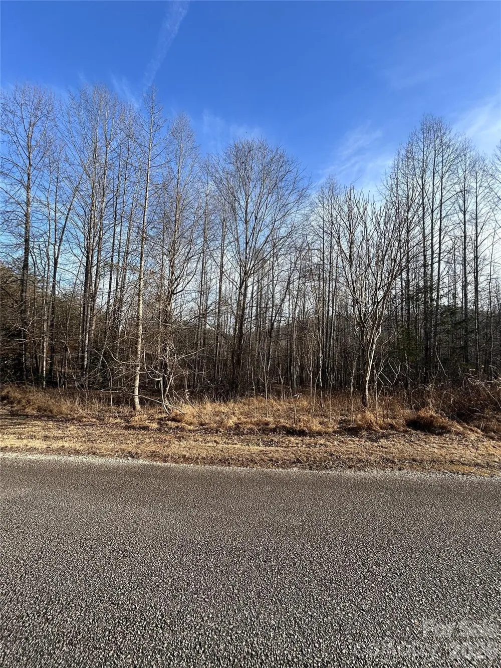 147 Double Eagle Drive #23 Nebo, NC 28761
