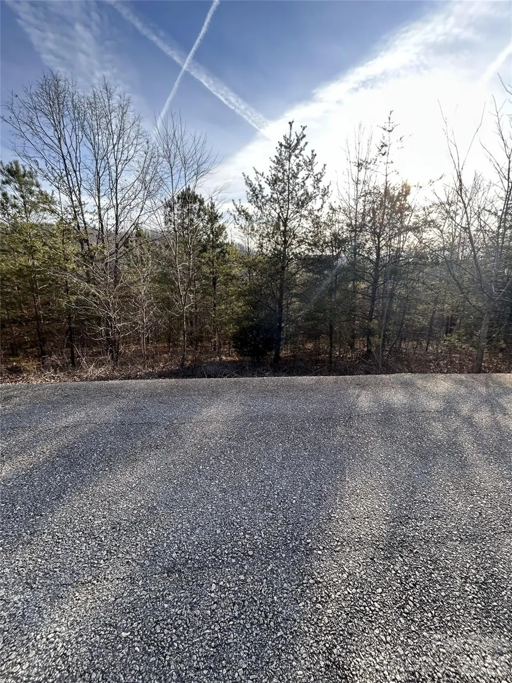 147 Double Eagle Drive #23 Nebo, NC 28761