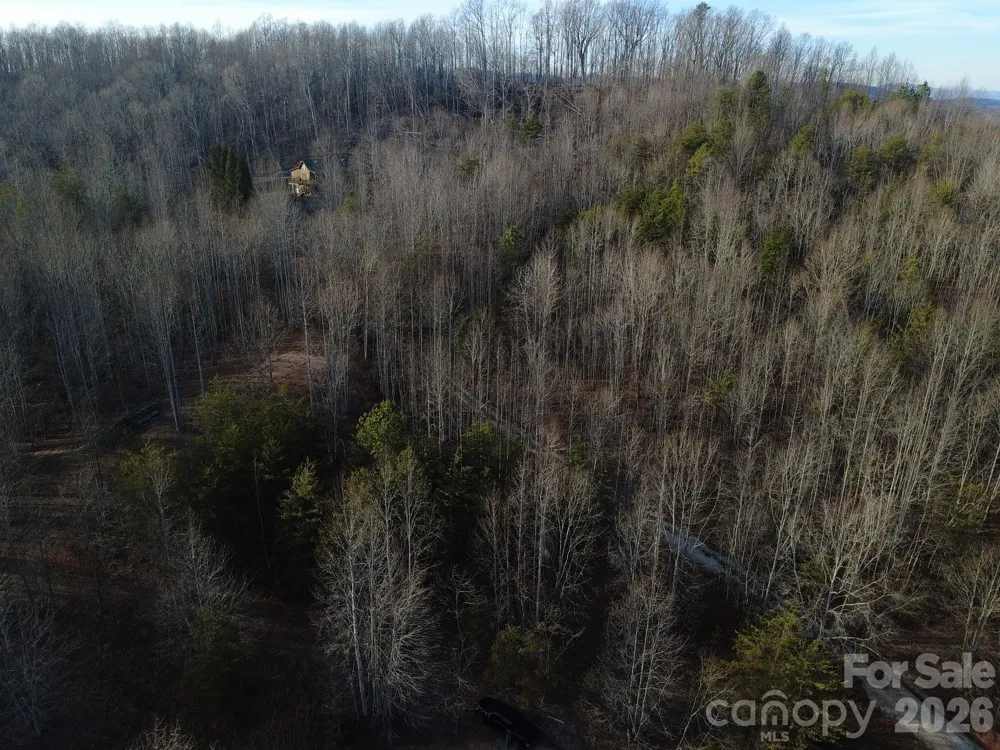 Lot 23 & 24 Double Eagle Drive #23 & 24 Nebo, NC 28761