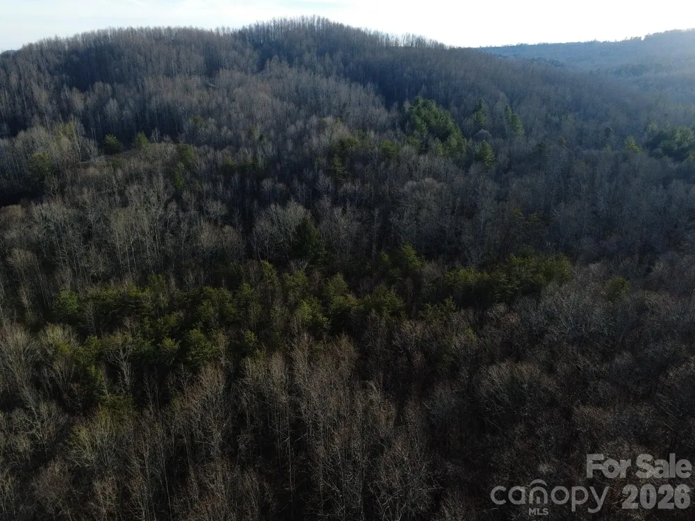 Lot 23 & 24 Double Eagle Drive #23 & 24 Nebo, NC 28761