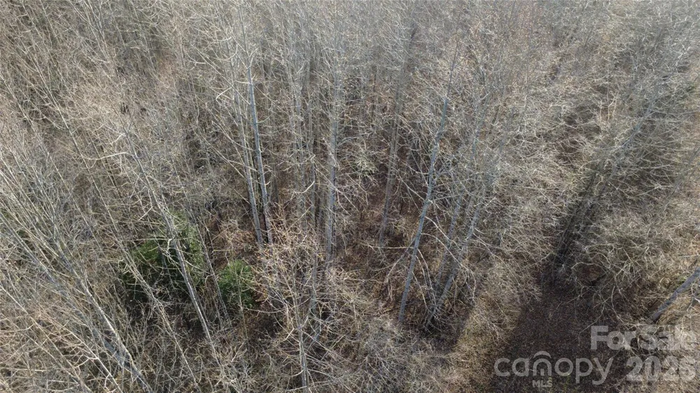 Lot 23 & 24 Double Eagle Drive #23 & 24 Nebo, NC 28761