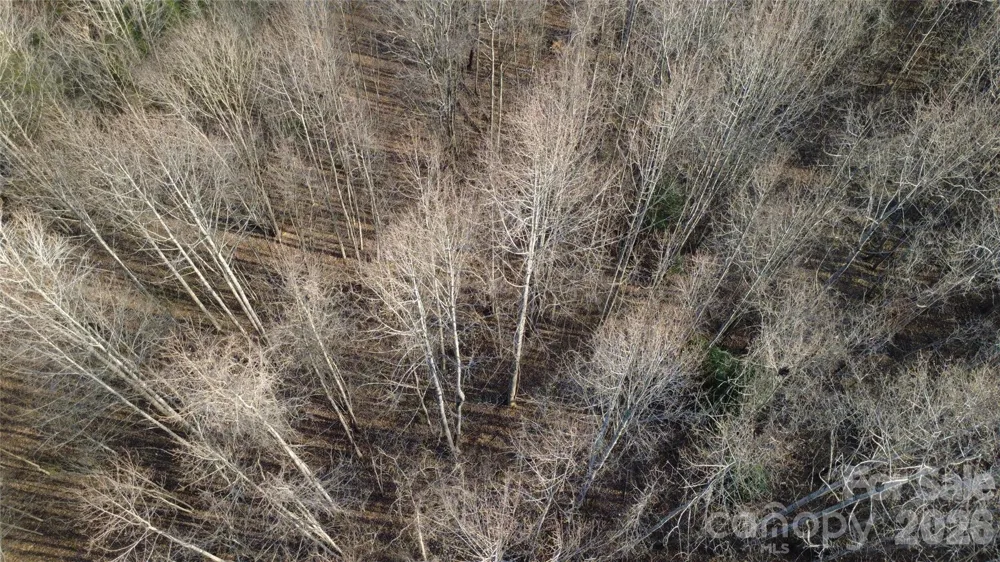 Lot 23 & 24 Double Eagle Drive #23 & 24 Nebo, NC 28761