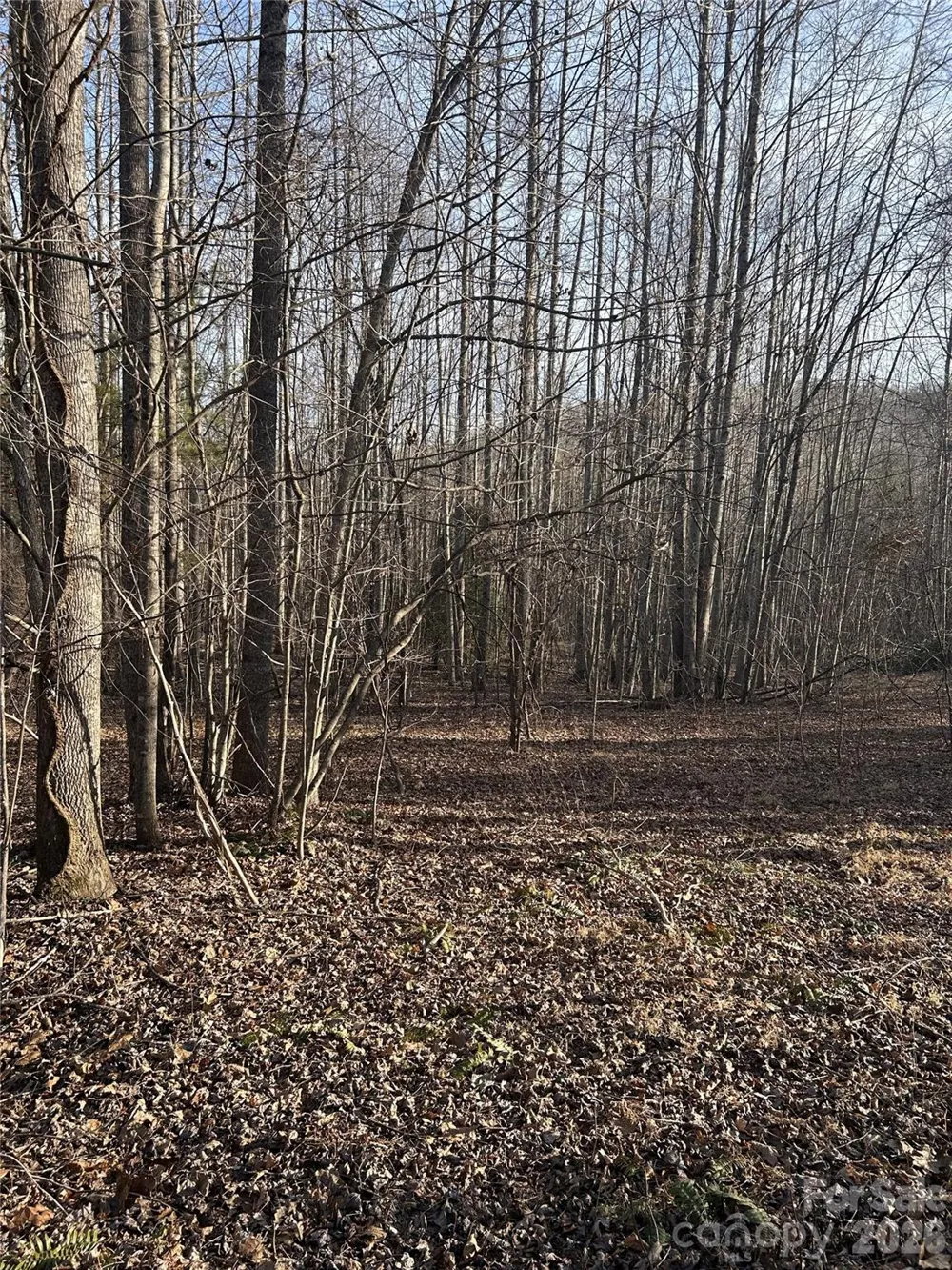 Lot 23 & 24 Double Eagle Drive #23 & 24 Nebo, NC 28761