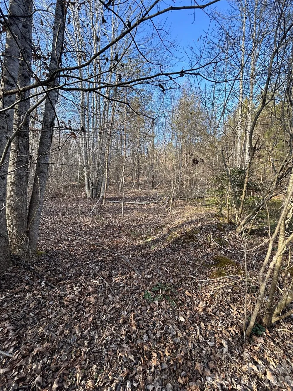 Lot 23 & 24 Double Eagle Drive #23 & 24 Nebo, NC 28761