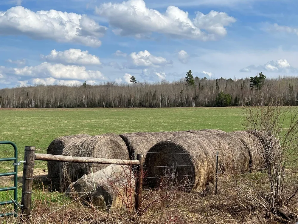 TBD Boulevard Road Iron River, WI 54847