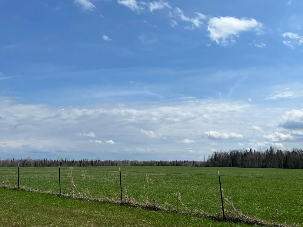 11TBD Gulley Road Maple, WI 54854