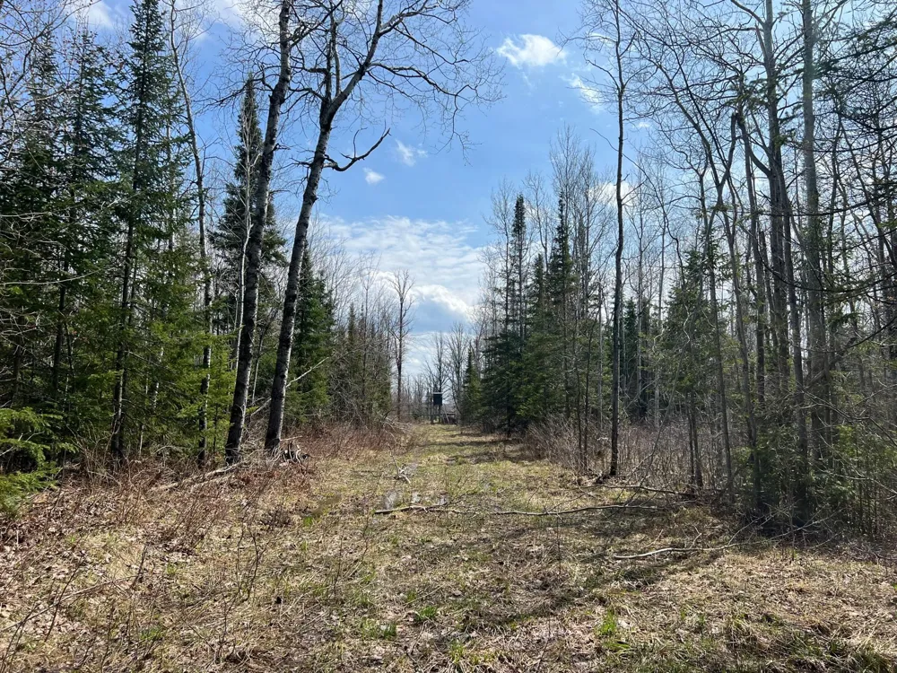 11TBD Gulley Road Maple, WI 54854