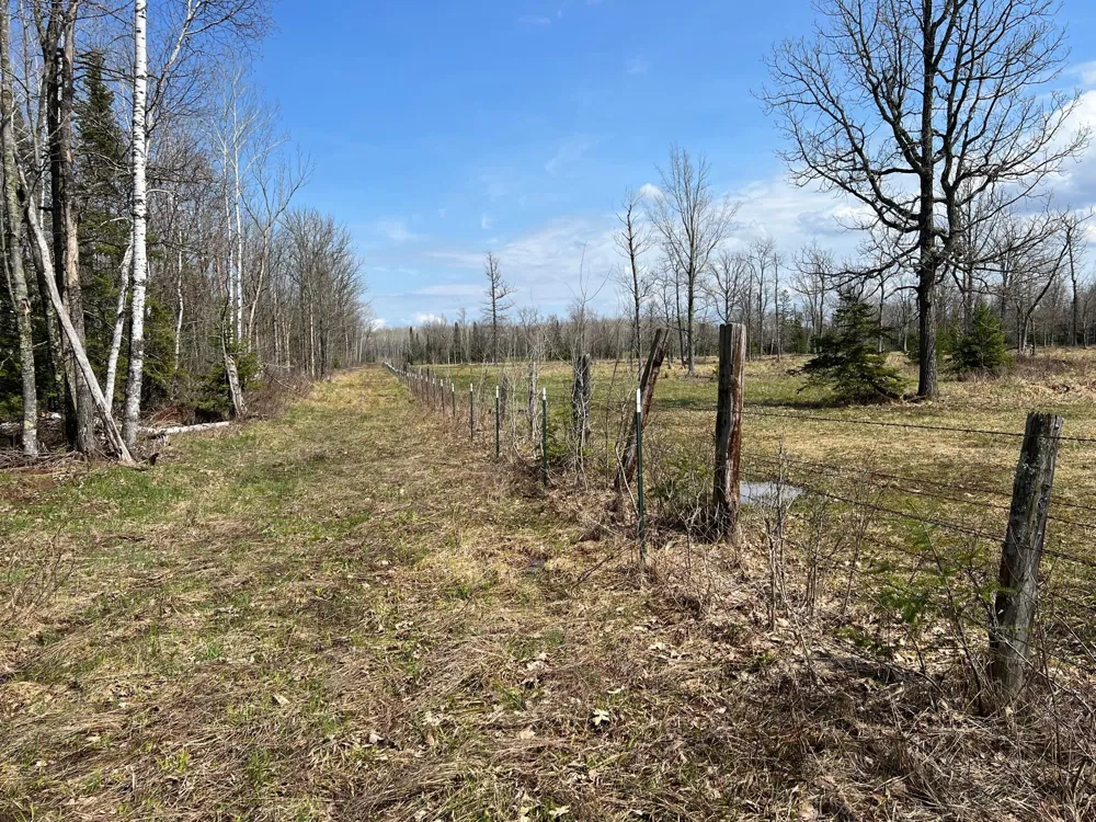11TBD Gulley Road Maple, WI 54854