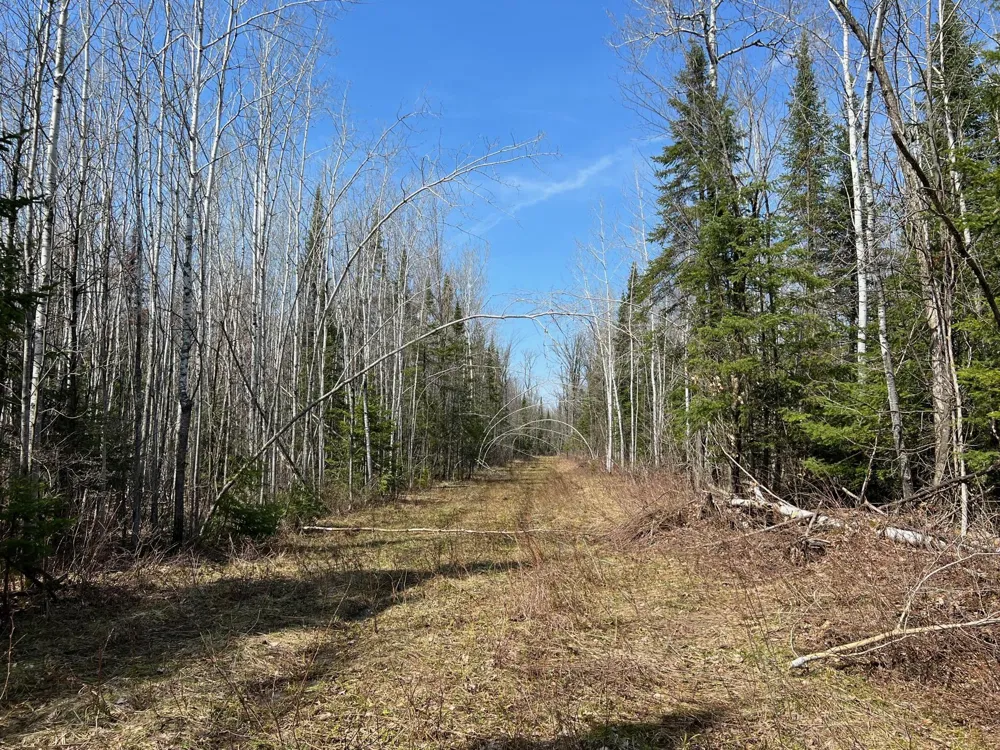11TBD Gulley Road Maple, WI 54854