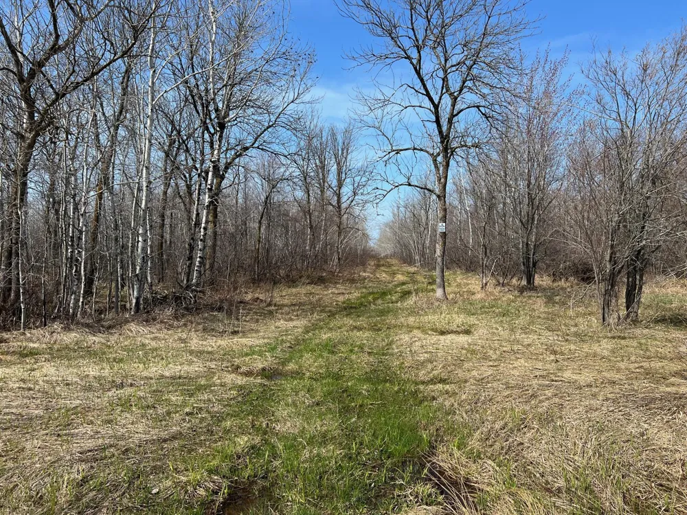 TBD Gulley Road Maple, WI 54854