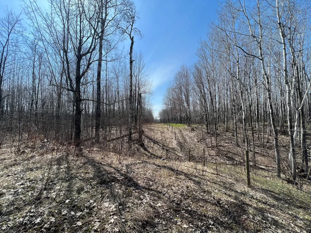 TBD Gulley Road Maple, WI 54854