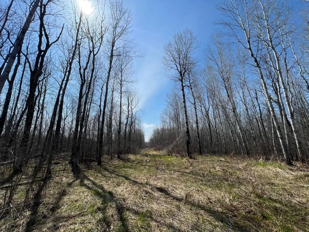 TBD Gulley Road Maple, WI 54854