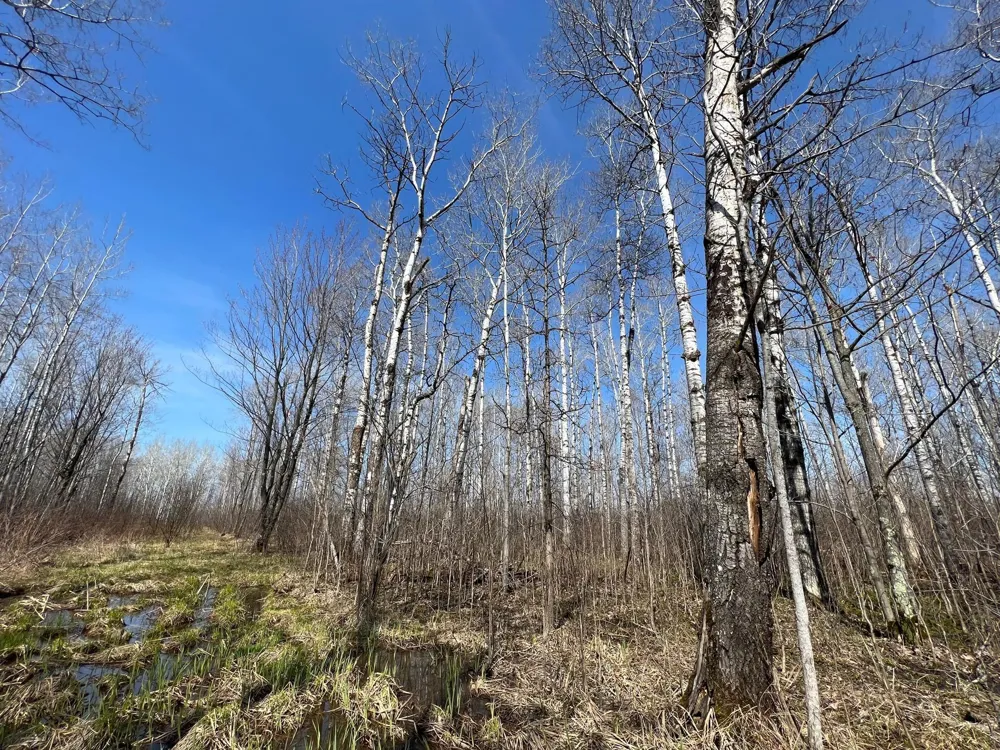 TBD Gulley Road Maple, WI 54854