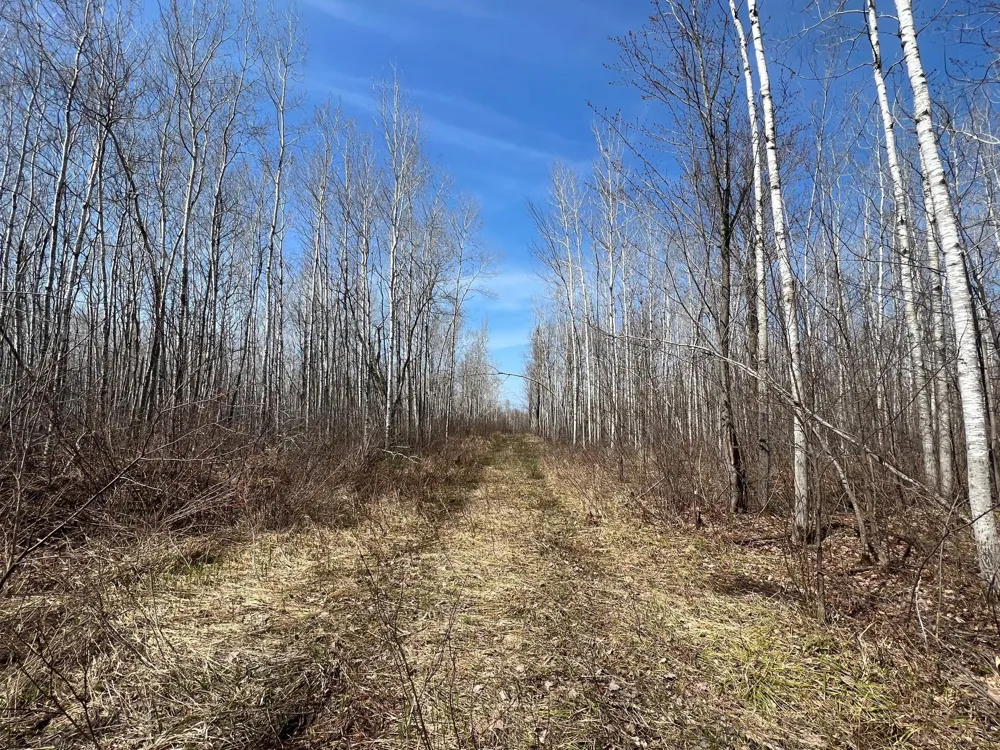 TBD Gulley Road Maple, WI 54854