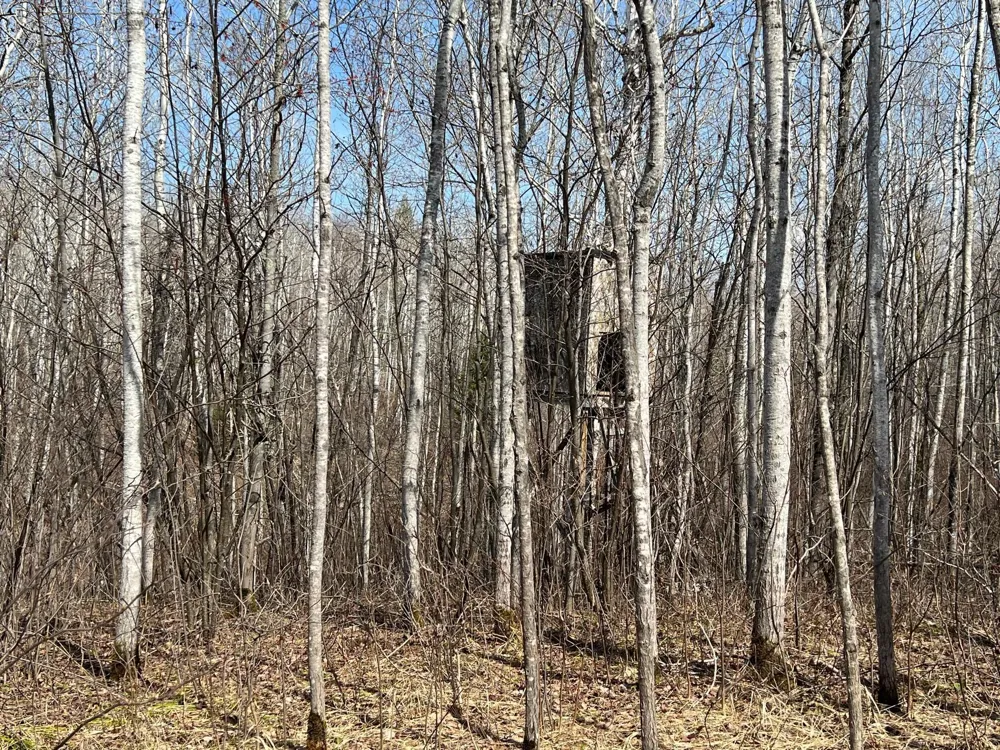 TBD Gulley Road Maple, WI 54854
