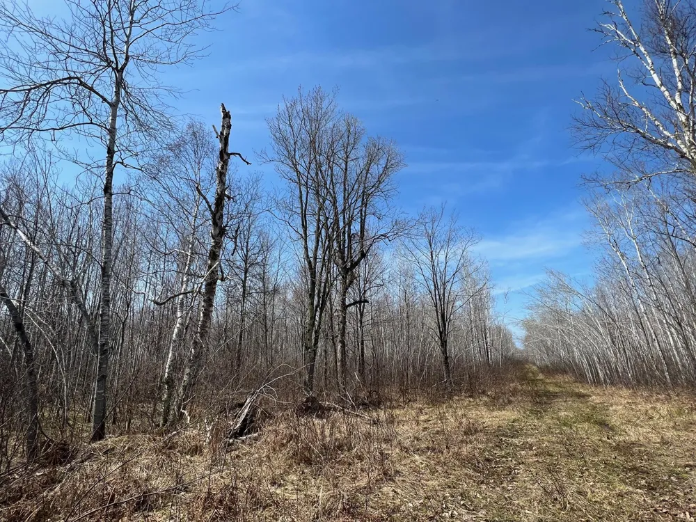 TBD Gulley Road Maple, WI 54854
