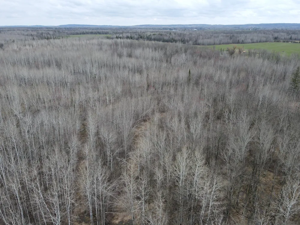 TBD Gulley Road Maple, WI 54854