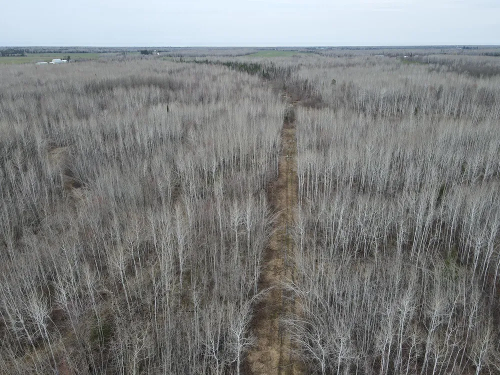 TBD Gulley Road Maple, WI 54854