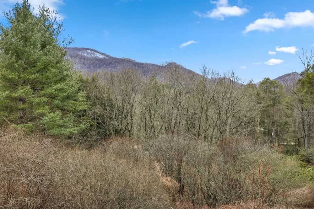 Gooseberry Ln Franklin, NC 28734