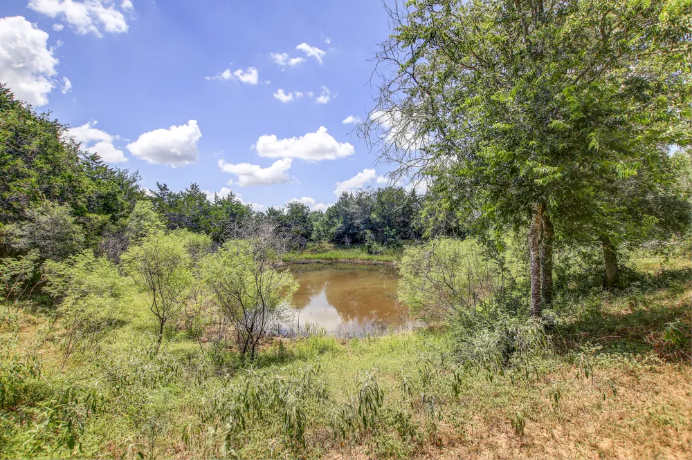 142 Anderson Drive Red Rock, TX 78662