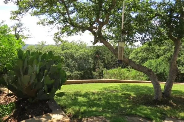 169 Royal Oaks Hill Fredericksburg, TX 78624