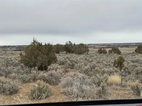 Highway 184