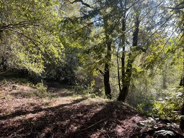 Love Creek Ben Lomond, CA 95005