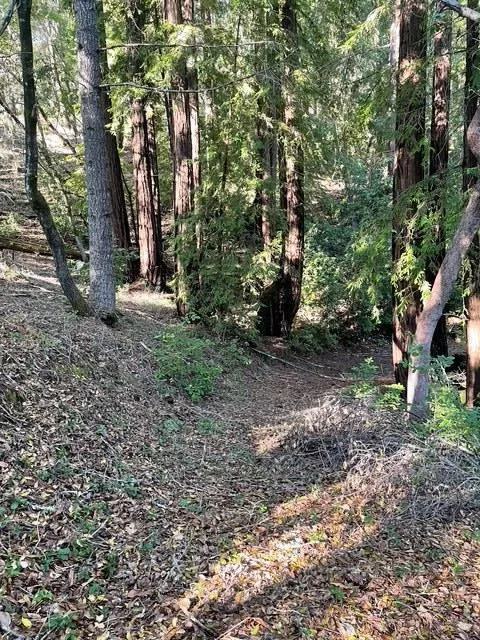 Love Creek Ben Lomond, CA 95005