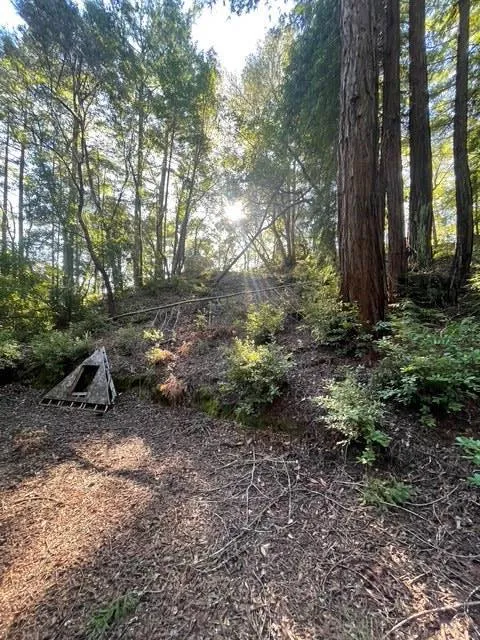 Love Creek Ben Lomond, CA 95005