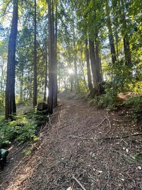 Love Creek Ben Lomond, CA 95005