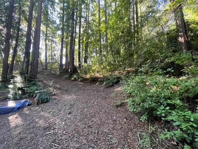 Love Creek Ben Lomond, CA 95005