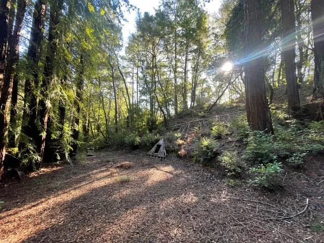Love Creek Ben Lomond, CA 95005