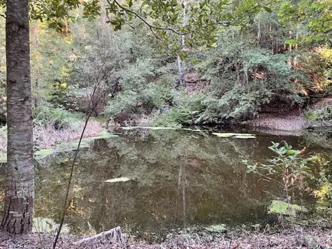 Love Creek