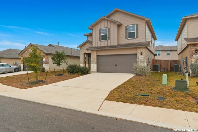 15562 Mint Patch Meadow