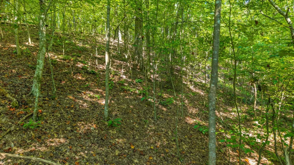Eagle Point Drive Lot 8 Rockwood, TN 37854