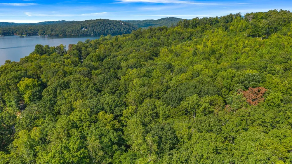 Eagle Point Drive Lot 8 Rockwood, TN 37854