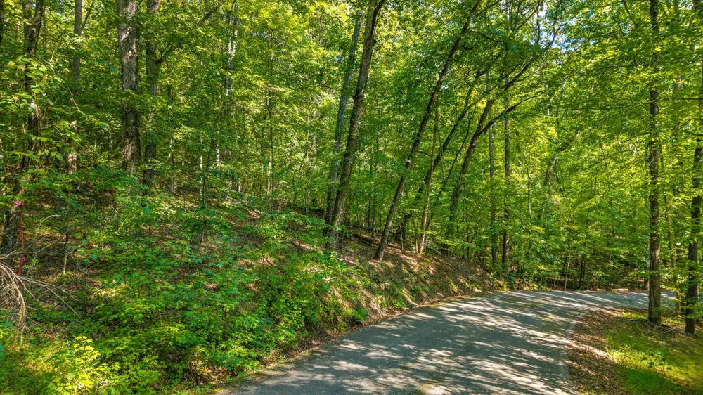 Eagle Point Drive Lot 8 Rockwood, TN 37854
