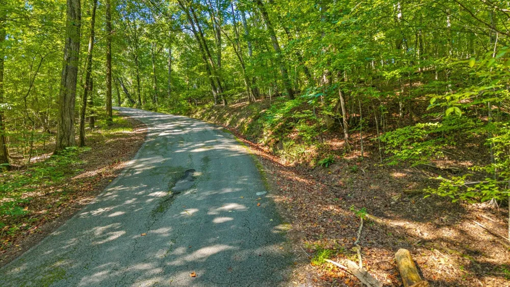 Eagle Point Drive Lot 8 Rockwood, TN 37854