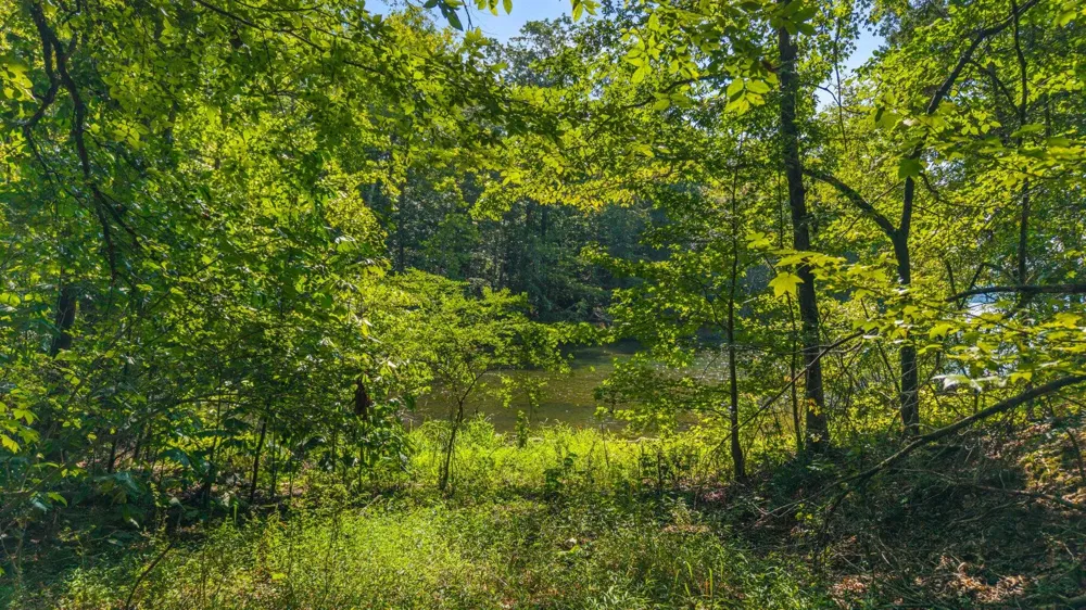 Eagle Point Drive Lot 8 Rockwood, TN 37854
