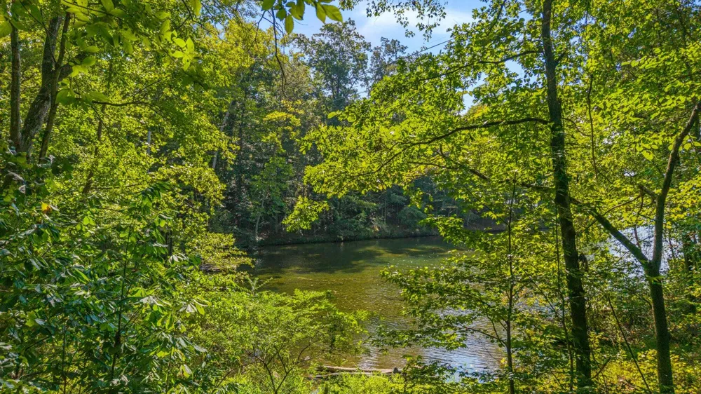 Eagle Point Drive Lot 8 Rockwood, TN 37854