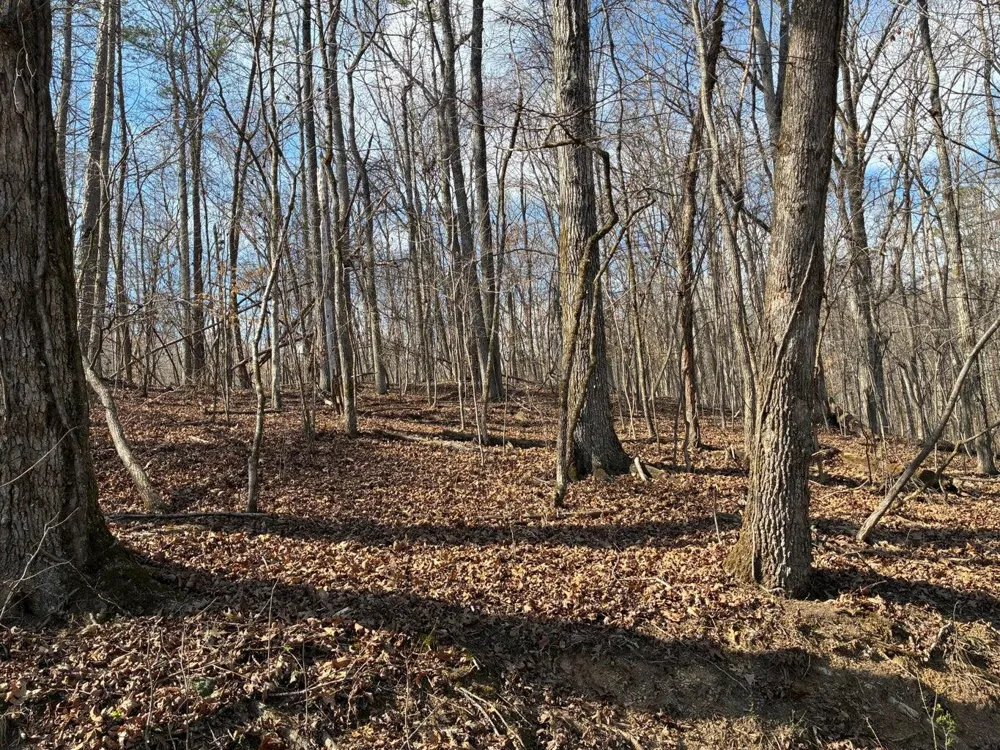 Eagle Point Drive Lot 8 Rockwood, TN 37854